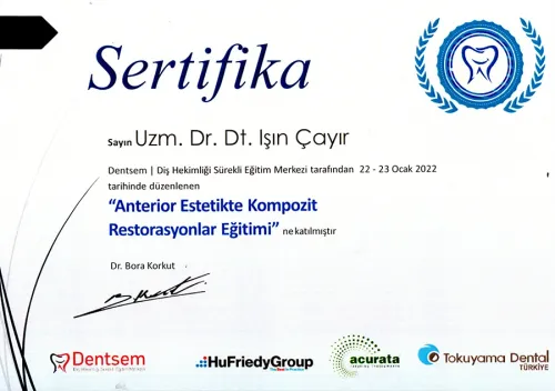 Dr. Işın Çayır - Certificate 1