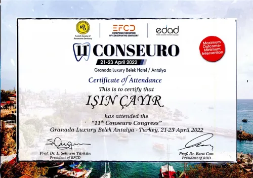 Dr. Işın Çayır - Certificate 3