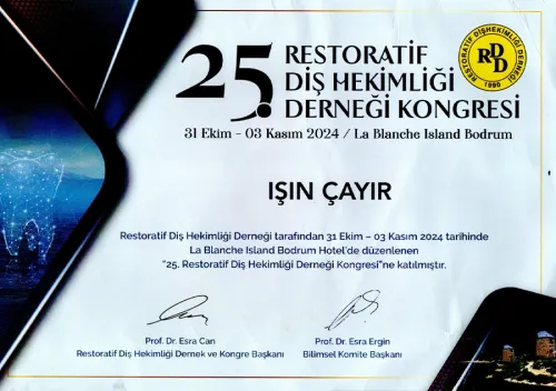 Dr. Işın Çayır - Certificate 4