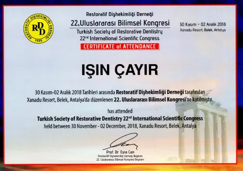 Dr. Işın Çayır - Certificate 6