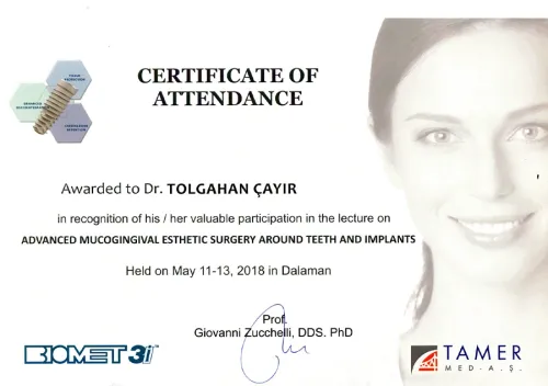 Dr. Tolgahan Çayır - Certificate 1